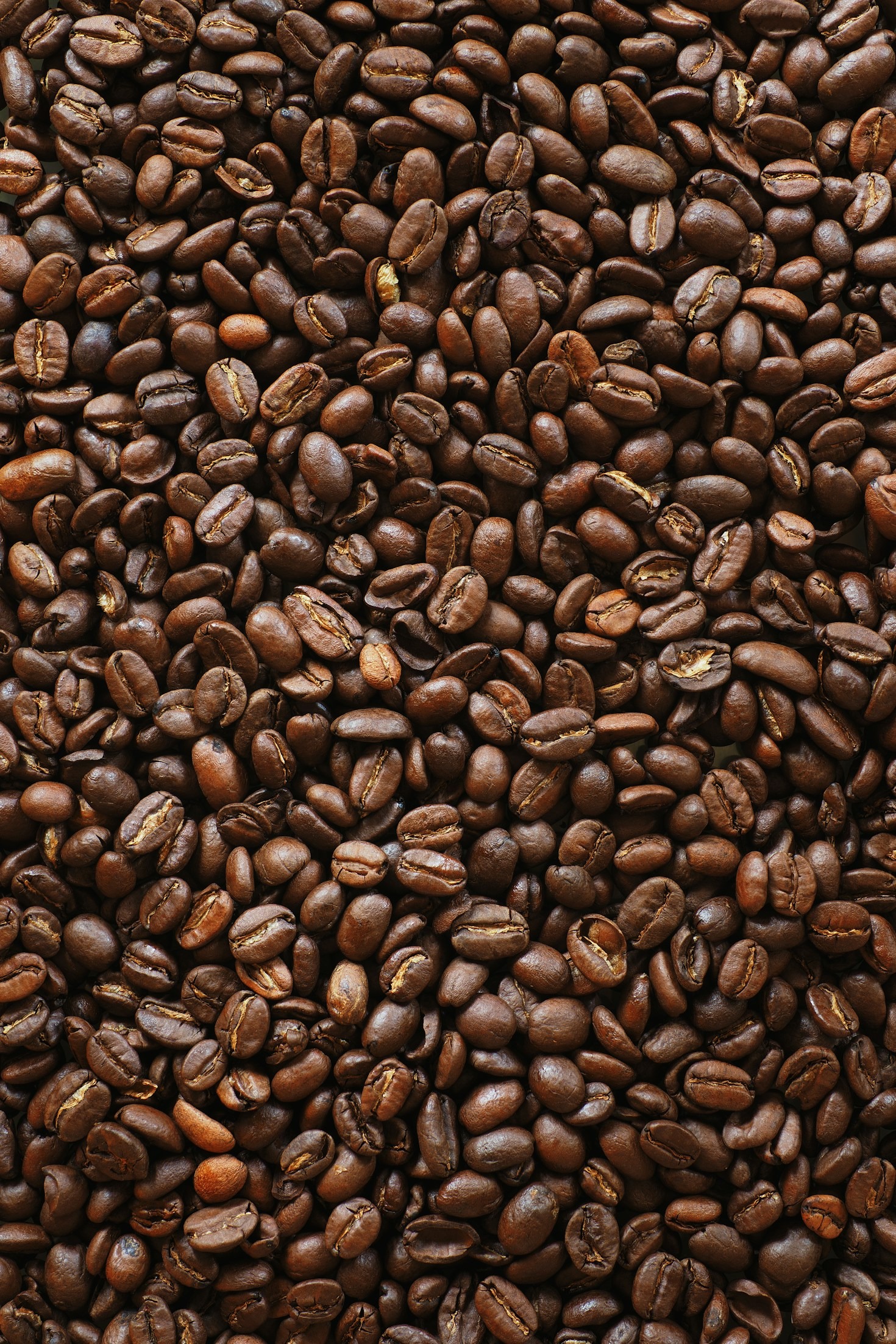 Guida pratica alla manutenzione della macchina da caffè